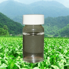 productos de nicotina pura bio-insecticidas