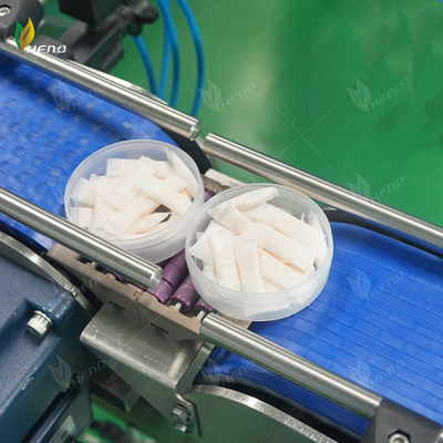 fabricantes profesionales Bolsitas de nicotina de 6 mg