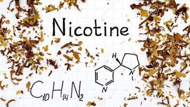 Los reguladores del gobierno francés prohíben la venta de productos de nicotina en línea