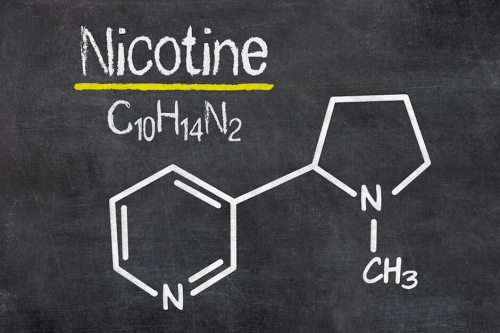 ¿Quién sintetiza químicamente la nicotina?
